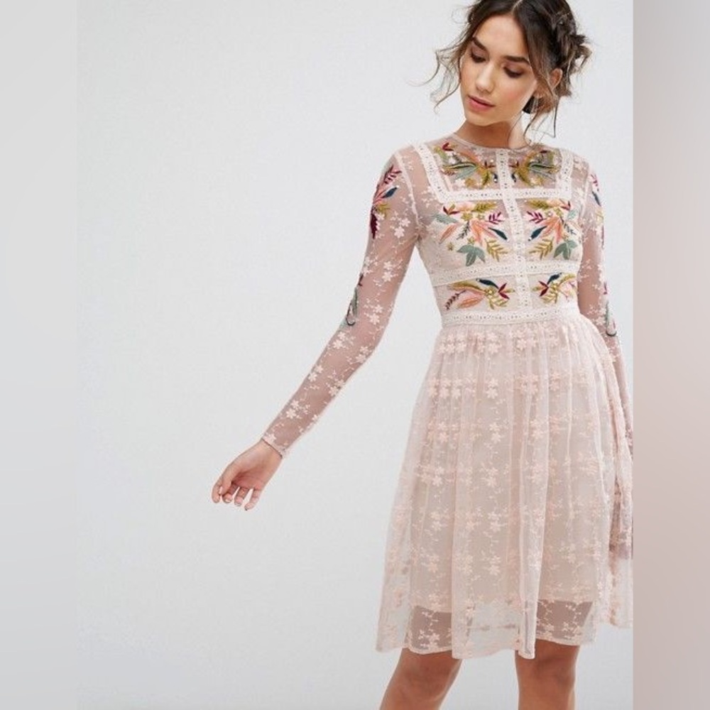 Frock and Frill Embroidered Mini Skater Dress